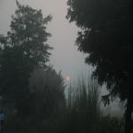 Vraj-Yatra-2014- (1299)